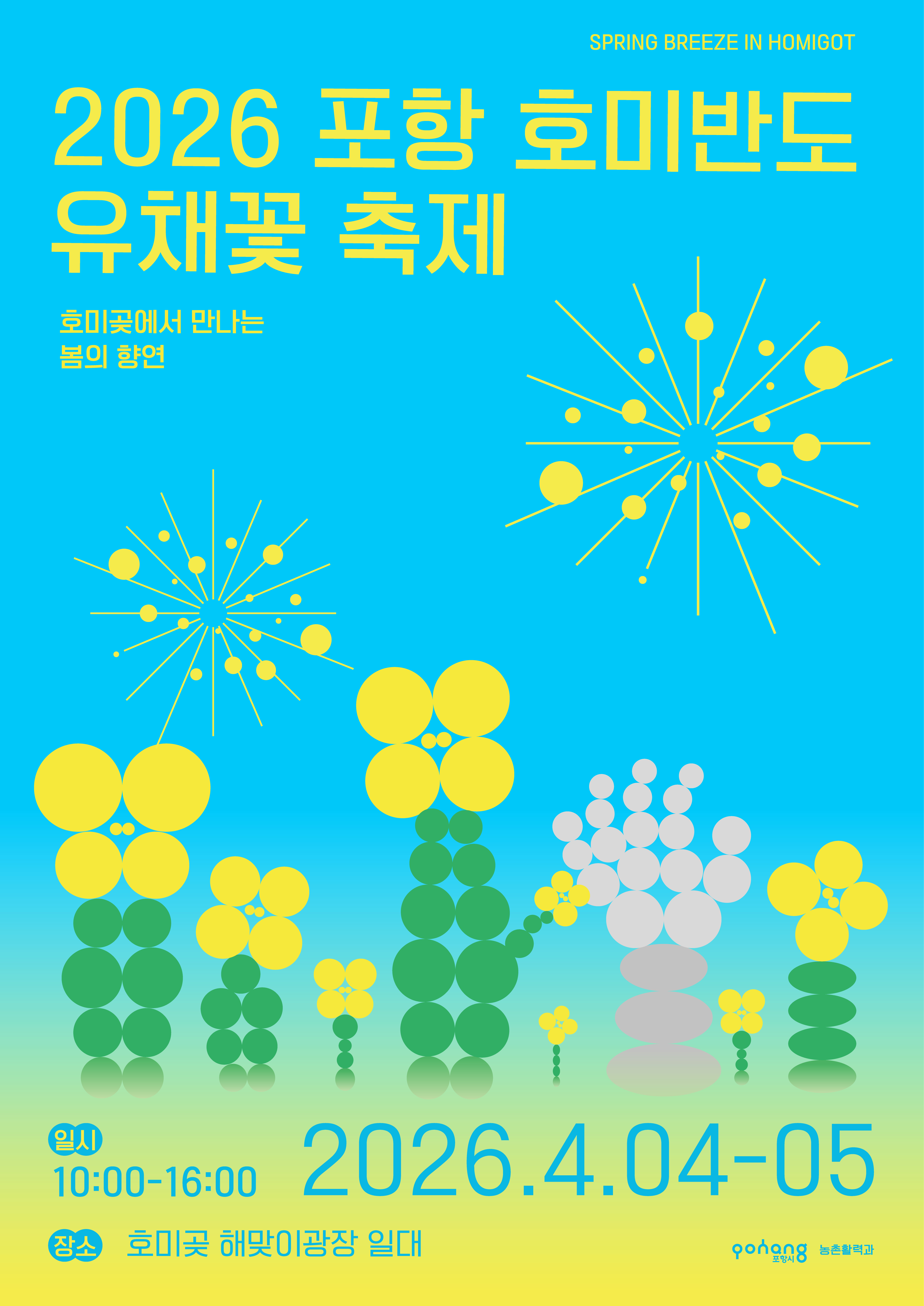 포항 호미반도 유채꽃 축제