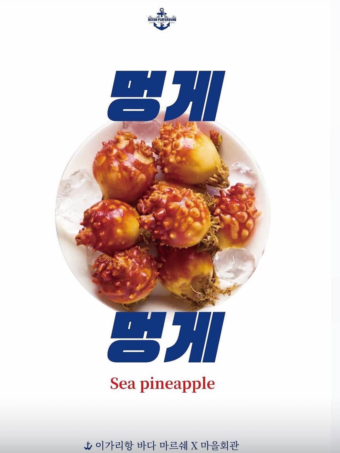 이가리항 바다마르쉐