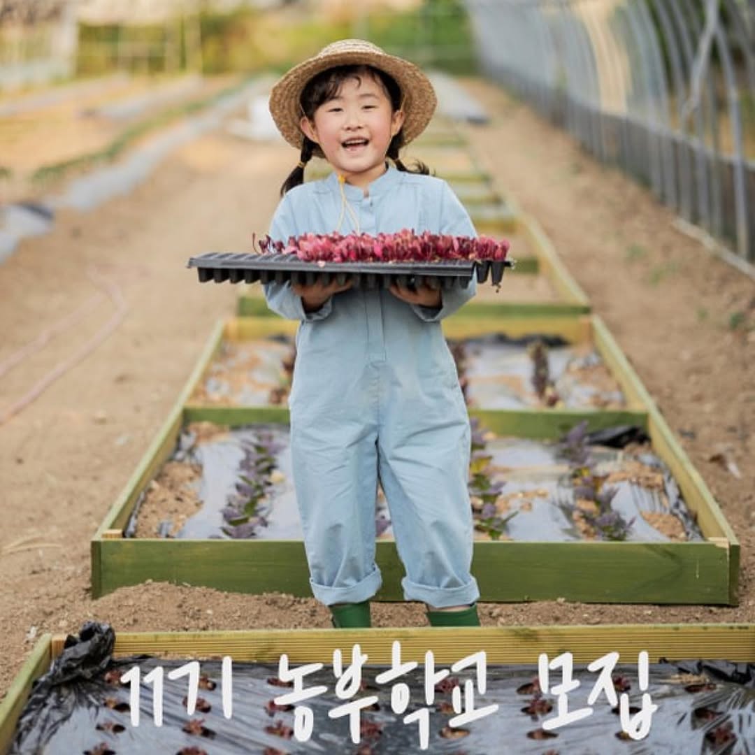 친환경 체험농장 '놀팜' 디자인 및 공간기획